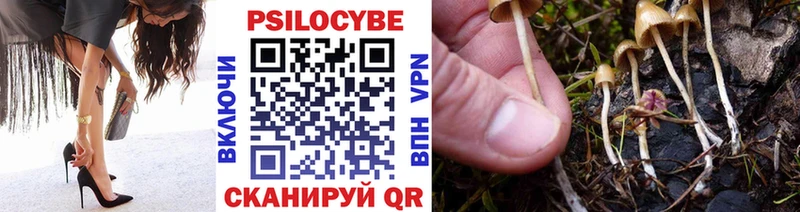 Галлюциногенные грибы ЛСД Гуково