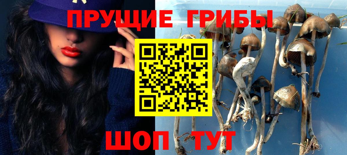 Галлюциногенные грибы ЛСД  Псилоцибиновые грибы GOLDEN TEACHER  Вход с VPN  закладки  Гуково 