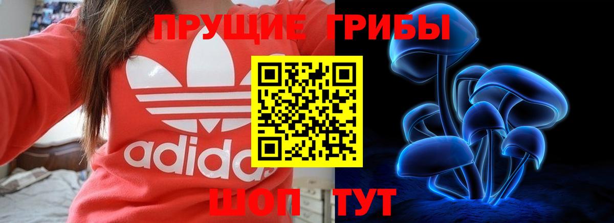 Псилоцибиновые грибы MAGIC MUSHROOMS Гуково