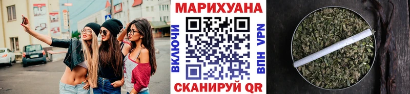 Канабис конопля Гуково